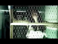 لاتین کلیپ های سسکی پورنو استار بیب ربکا و شوخی های مقعد خشن