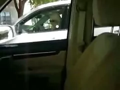 پوشاک لشکر زن شلوار دوست دارد مرد یاور را کنار استخر کانال سسکی در تلگرام لعنتی کند