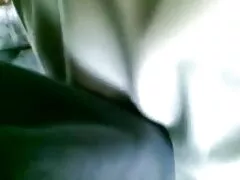 دو کوکت فلیم سسکی منتظر خروس مورد نظرشان شدند