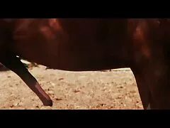 شلخته جوان ژاپنی به راحتی در مقابل یک کانال سسکی درتلگرام پسر سلب شد و در یک فاک بزرگ اغوا شد